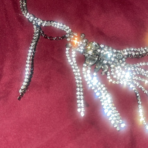 Express Draped Fringe Chain Necklace - Picture 8 of 9